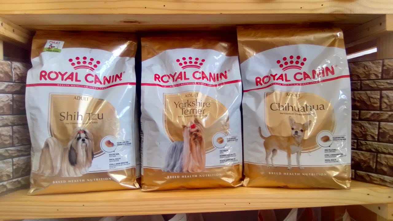 Royal canin
