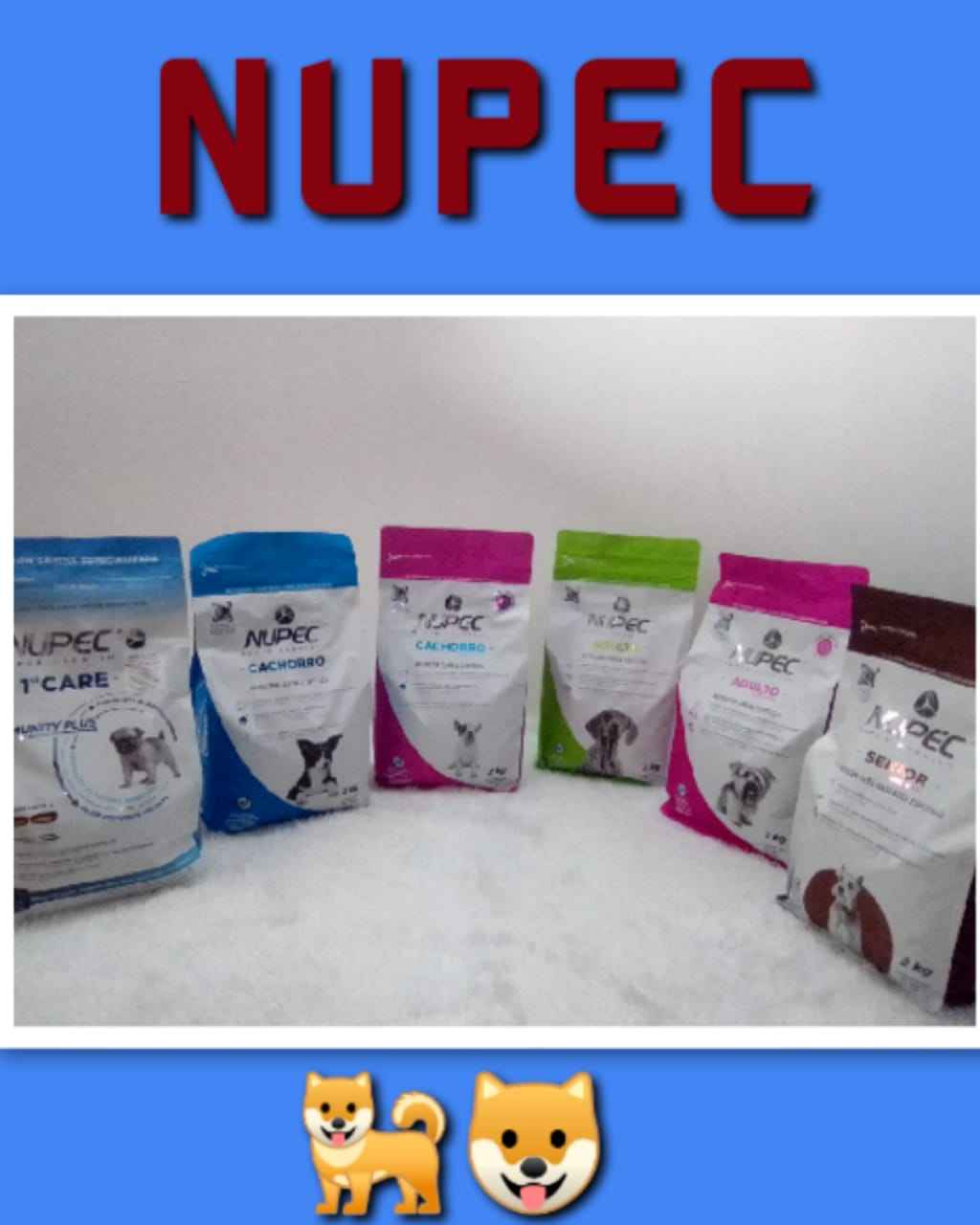 Nupec
